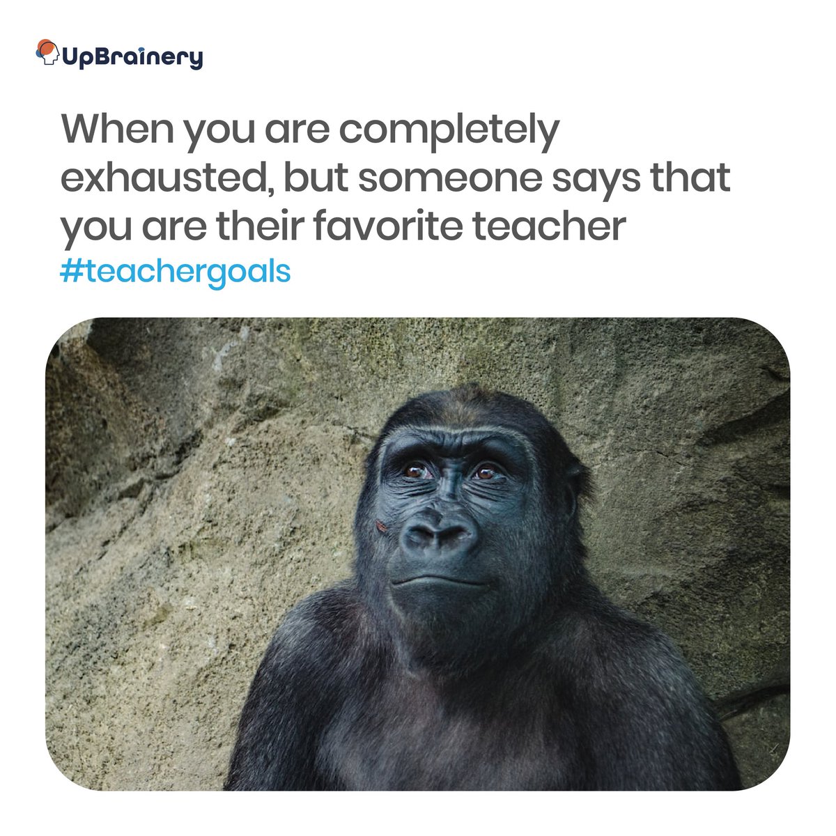 UpBrainery's tweet photo. Is it true? 😂
#TEACHers #EduTwitter #TeacherLife #EdChat #TeacherInspiration #Teachertalk #teachersproblem https://t.co/rxCAkQA7dC