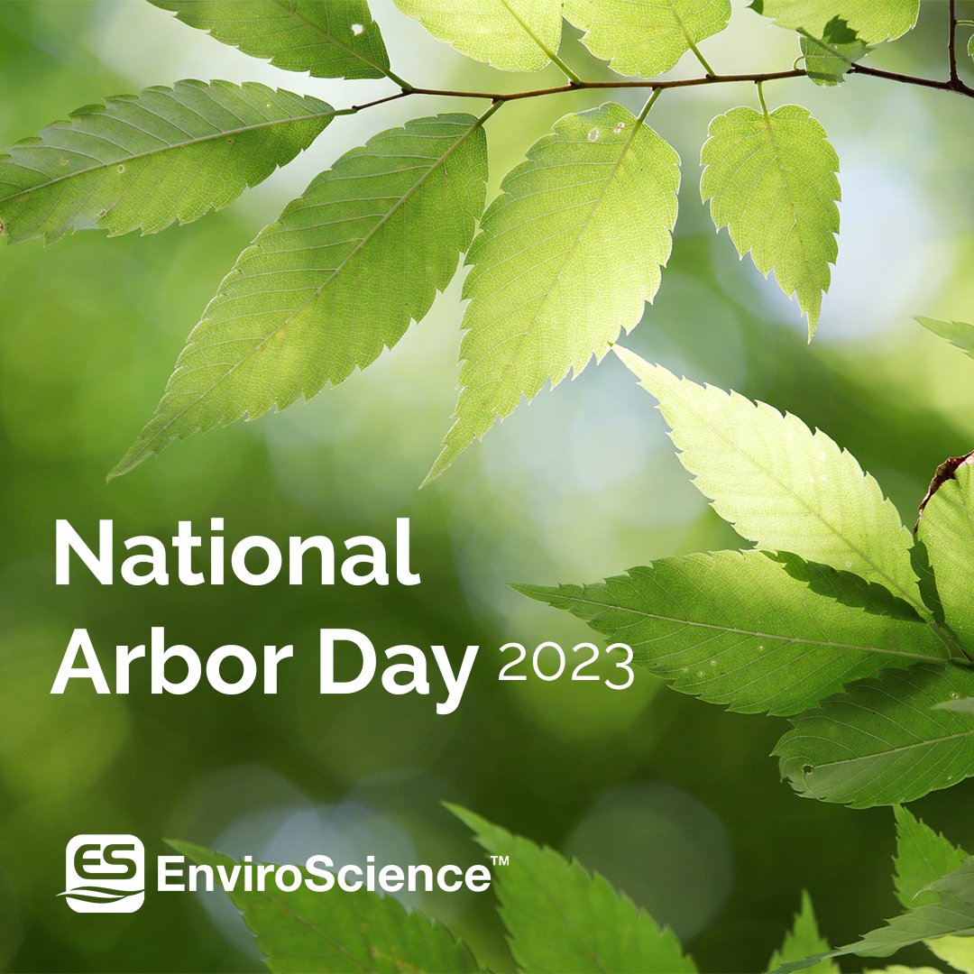 EnviroScience, Inc. on Twitter "It’s NationalArborDay! A single acre