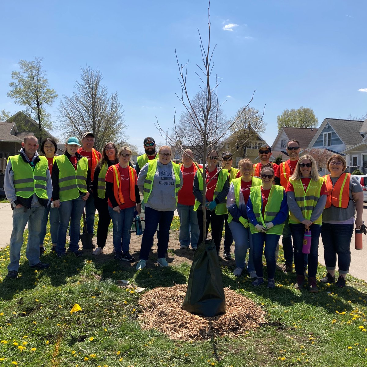 We meet a lot of pets (mostly dogs) while out planting, but this was a first! This bearded dragon lizard was quite happy with the new trees that our volunteers from <a href="/WellsFargo/">Wells Fargo</a> planted in his neighborhood. Great work getting 41 trees planted yesterday in Cedar Rapids! 🦎💚🌳