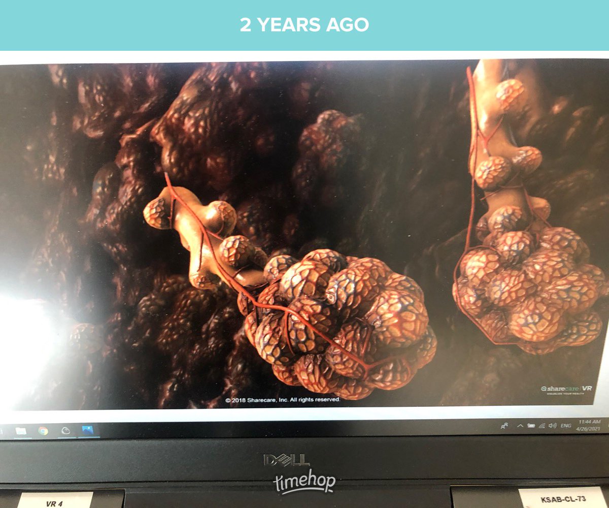 Damian_PE10's tweet image. Throwback to one of the most mind-blowing lessons I&apos;ve taught. Anatomy and physiology treasure hunt. Dive inside the body and find and highlight the different body parts. Virtual reality allows for the augmentation of teaching. 
#PEGEEK