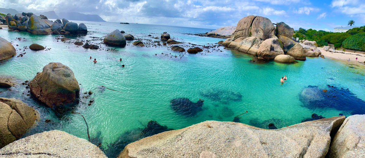 Ted Kouri tweet media