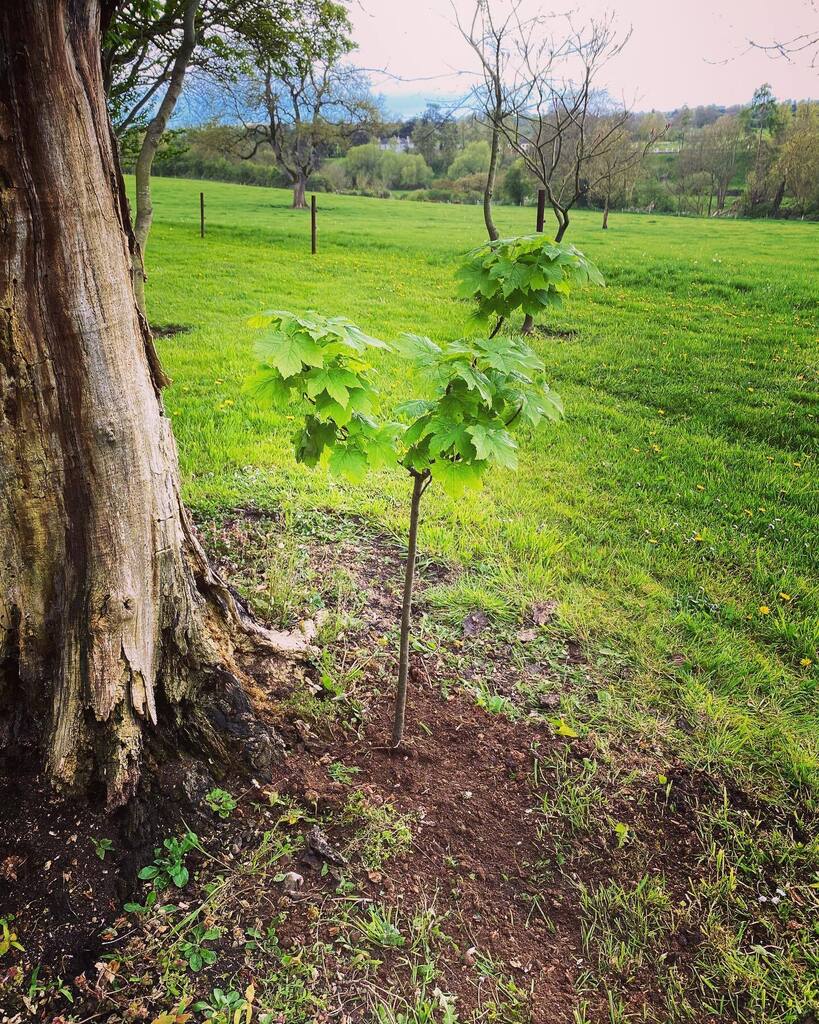 noreviewhouse's tweet photo. There is magic in the old and magic in the new. The trick is to successfully combine the Two. 

#grove #trees #peace #explore #instagood #visitkilkenny #fishing #spring2023 #summer2023 #sunnysoutheast #elite #adventure #irelandsancienteast #selfcatering … https://t.co/Leq3zYwclR https://t.co/TZYT8C1brZ