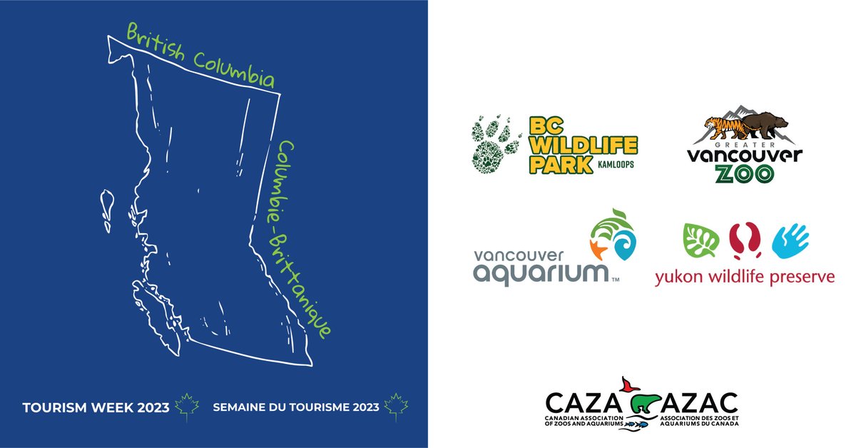 CAZA-AZAC (@caza_azac) on Twitter photo Cet été, lorsque vous planifierez vos vacances en famille, prévoyez une visite dans l'un des zoos et aquariums accrédités du Canada !
Vous êtes dans l’ouest en Colombie-Britanique ou au Yukon, voici quelques choix de visites :
#AZAC #Semainedutourisme2023 <a href="/TIAC_AITC/">The Tourism Industry Association of Canada</a> Cet été, lorsque vous planifierez vos vacances en famille, prévoyez une visite dans l'un des zoos et aquariums accrédités du Canada !
Vous êtes dans l’ouest en Colombie-Britanique ou au Yukon, voici quelques choix de visites :
#AZAC #Semainedutourisme2023 <a href="/TIAC_AITC/">The Tourism Industry Association of Canada</a>