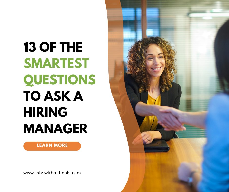 'Make a strong impression on any hiring manager by asking these insightful questions and ending your interview on a positive note.' 🤝🐾

Learn more here:ow.ly/ONsK50N260B

#veterinaryIndustry #AnimalHealthCare #Veterinaryjobs #animalhealth #workingwithanimals