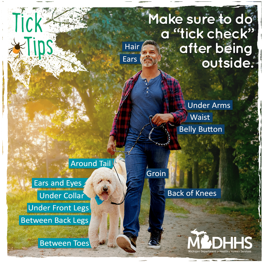 scriverstewards's tweet photo. Ticks may be small, but they are a growing concern in Michigan. Make sure to do a “tick check” after being outside. Check out the image for common tick-hiding areas. You can find tick identification information at https://t.co/ImIgSKEdFM. https://t.co/5jYfvtXZME