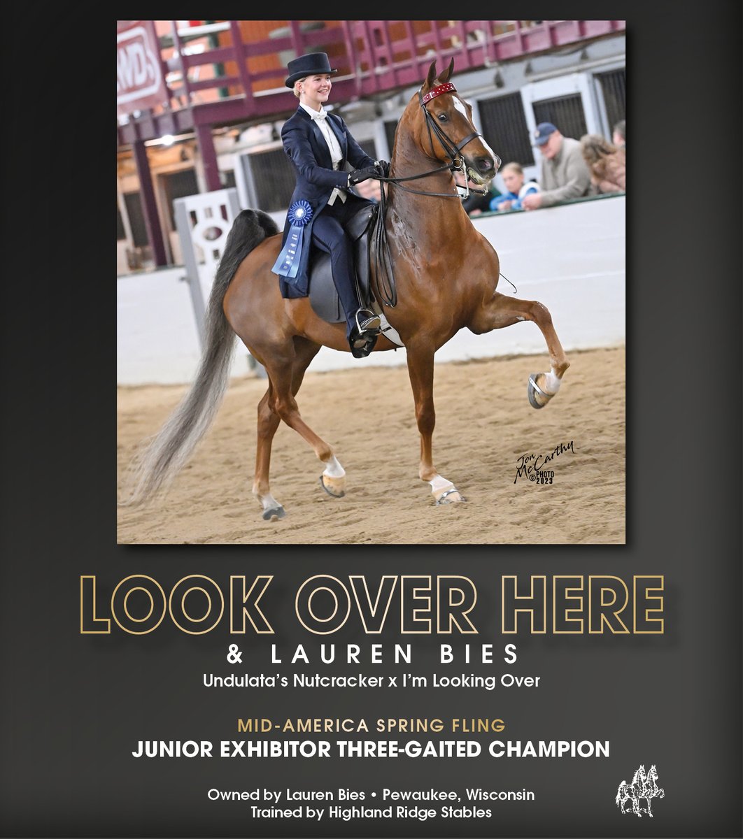 National Horseman tweet media