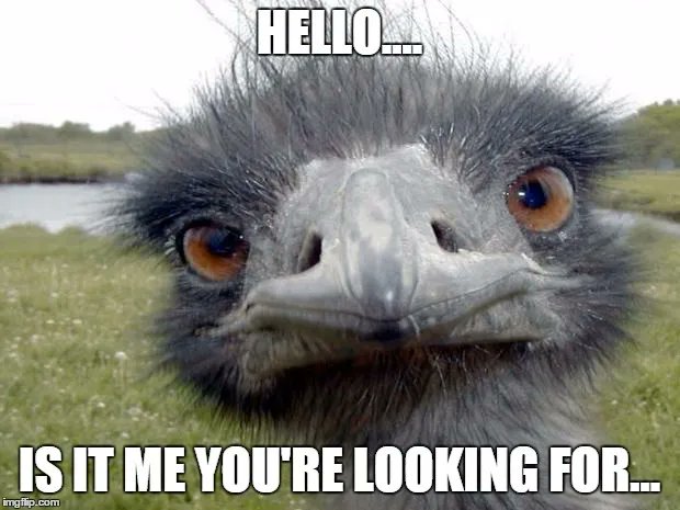 HelloRegistry's tweet image. why .hello there! hello domains are for sale❣️
👋.hello
wave.hello
say.hello
impervious.domains/tld/hello/sear… 
$HNS #HNS $ENS #ENS