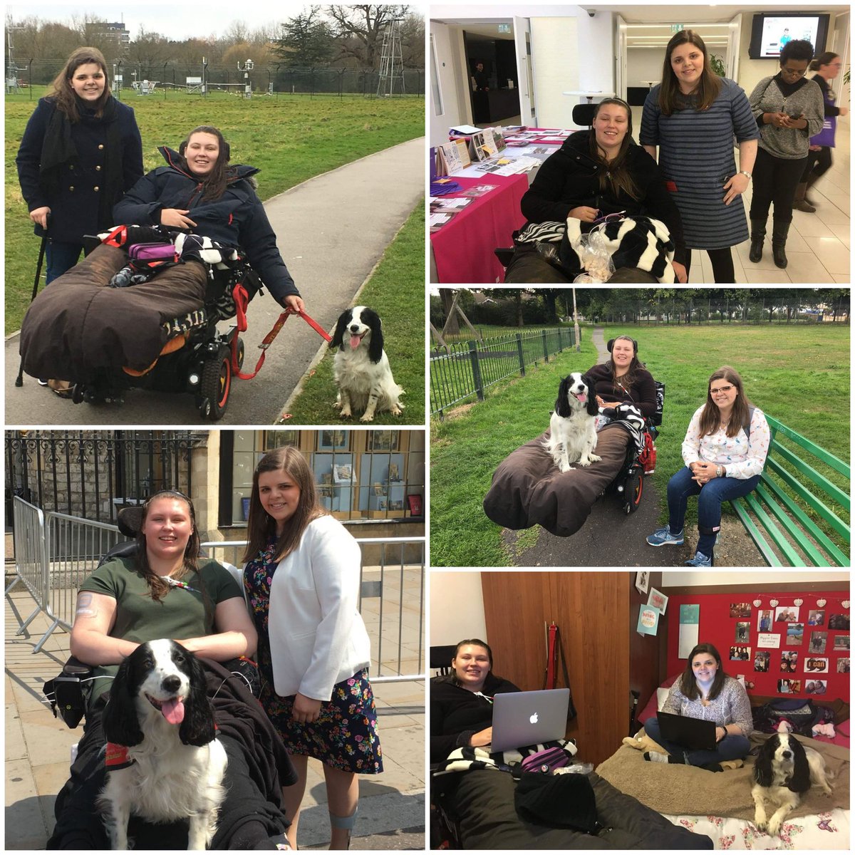 I feel privileged to be your friend <a href="/LucyAlexandria/">Lucy Watts MBE MUniv FRSA</a> - to have shared the highs and the lows in life and work. I promise to continue your legacy and project compassion as I progress in my nursing journey. I'll always hold our visions close. Snuggle  #MollyDog closely and relax ❤️
