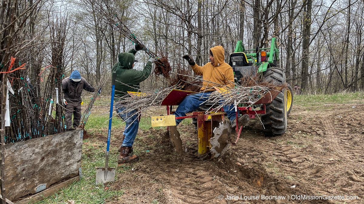 oldmission's tweet photo. This Week on the #Farm - Moving #Bees &amp; #Planting #Trees https://t.co/3mOf36twrb #oldmissionpeninsula #nomi #nwmi #farm #farming #farmers https://t.co/E7hEy4vN2q