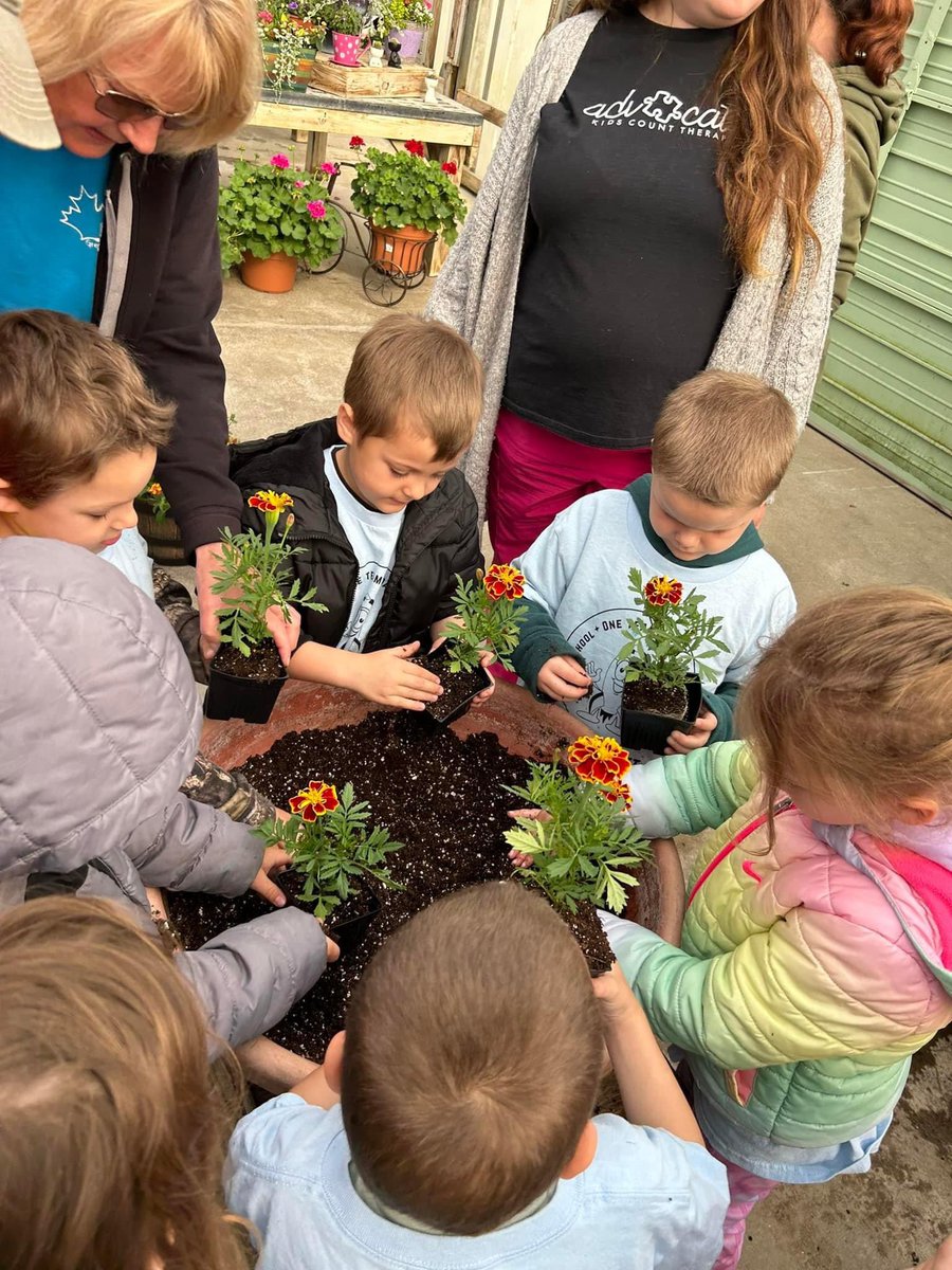 DMPrincipalGCSC's tweet image. Miss Kayla’s Preschool class visited Davidson’s Greenhouse today 🪴