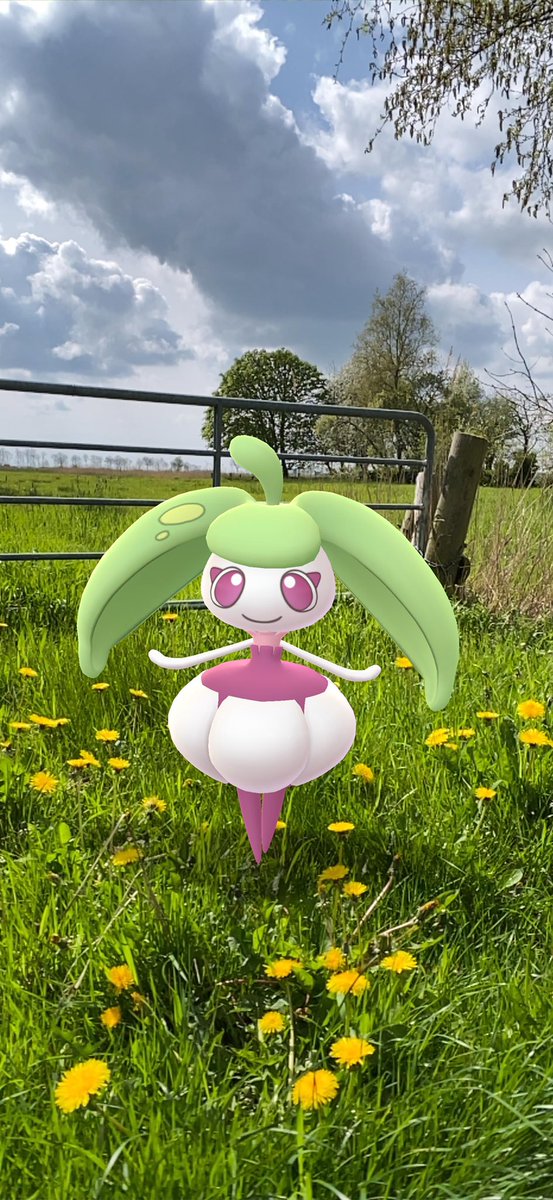 KathaBlueSky's tweet image. Moin Moin ⚓️

🌸💚💓🌸💓💚💓🌸💓💚🌸

#NewPokemon #Bounsweet #Steenee #Tsareena #GOsnapshot #PokemonGO 
;o)