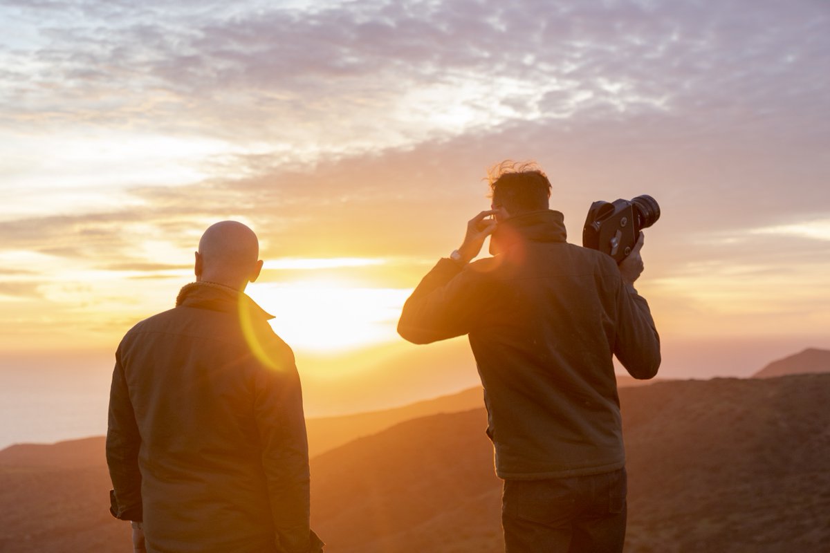 Matt Costa tweet media