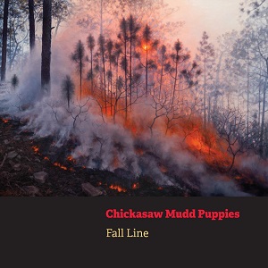 Enter to win a test pressing of the Chickasaw Mudd Puppies new album "Fall Line" available now on CD &amp; clear orange vinyl.
silverplatters.com/contests