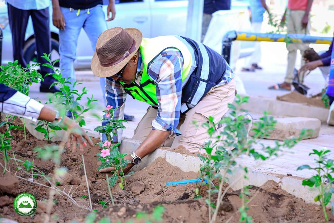SDGSomaliland's tweet photo. Today, Hargeisa City Council started the campaign planted in the city, this demonstrate #Somaliland commitment achieving #SDG15 which calls Life on Land.

#SDGs #ClimateAction 
@WBG_Climate 
@AbdikarimMoge https://t.co/NfKQbBjyvV