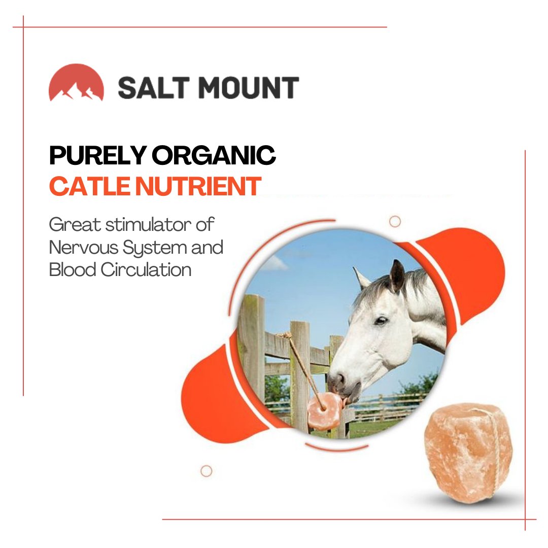 Saltmount1's tweet photo. Transform your animals' behavior with Himalayan Salt! Try it now and get impressive results! https://t.co/62aIHwgW9t