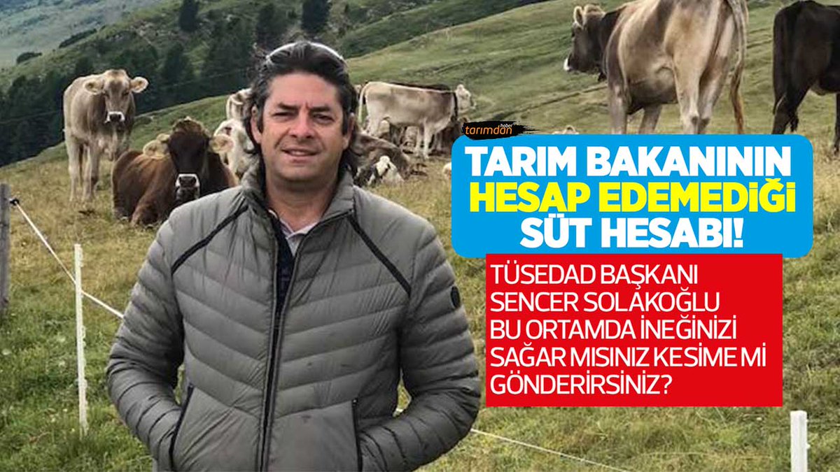 tarimdanhaber's tweet photo. Bu ortamda ineğinizi sağar mısınız, kestirir misiniz? 

TÜSEDAD ve Bursa Damızlık Sığır Yetiştiricileri Birliği Başkanı Sencer Solakoğlu'ndan dikkat çeken faiz ve süt hesabı... 

İnekler bundan dolayı kesime gidiyor... 

https://t.co/8k48UxKDSp https://t.co/jTpaTuufUu