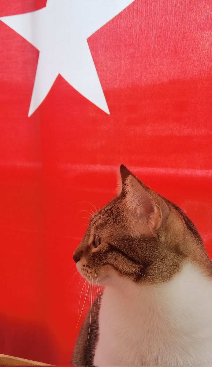 Ardaztr93234291's tweet photo. Ne Mutlu Türk'üm diyene.... 🇹🇷🇹🇷 https://t.co/ChbJSo0tkv