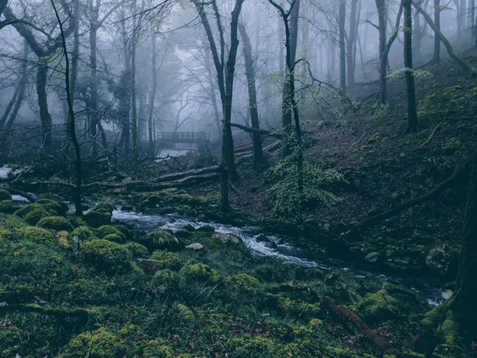Image from Brogan L. Pett (@broganConBio)