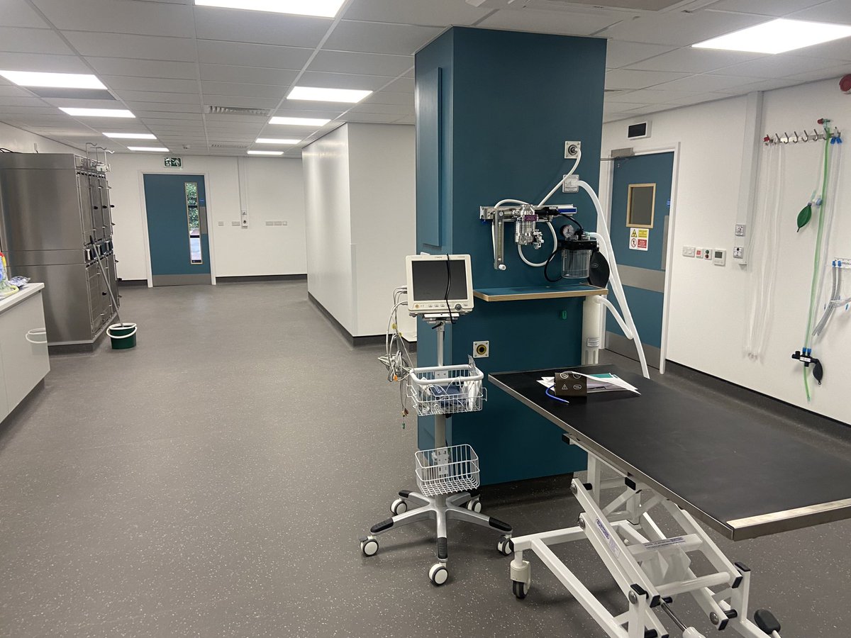 John Innes tweet media