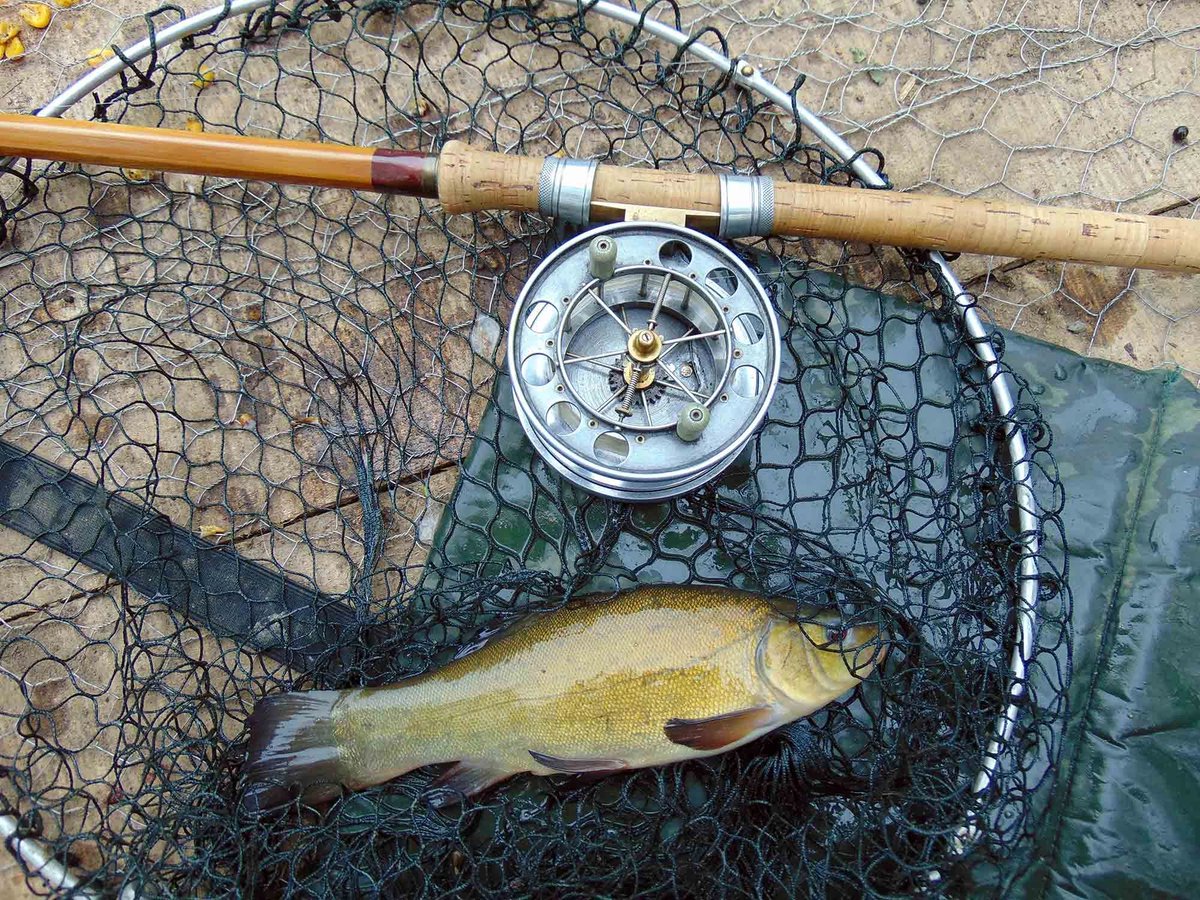 AnglingHall's tweet photo. I managed to sneak away from work for a few hours #fishing on the pond today. A lot quieter catching-wise than last week, but great to see and meet three other members of our wonderful #angling who all had a great today. https://t.co/WXJ9wIS85q