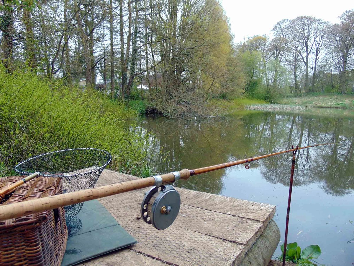 AnglingHall's tweet photo. I managed to sneak away from work for a few hours #fishing on the pond today. A lot quieter catching-wise than last week, but great to see and meet three other members of our wonderful #angling who all had a great today. https://t.co/WXJ9wIS85q