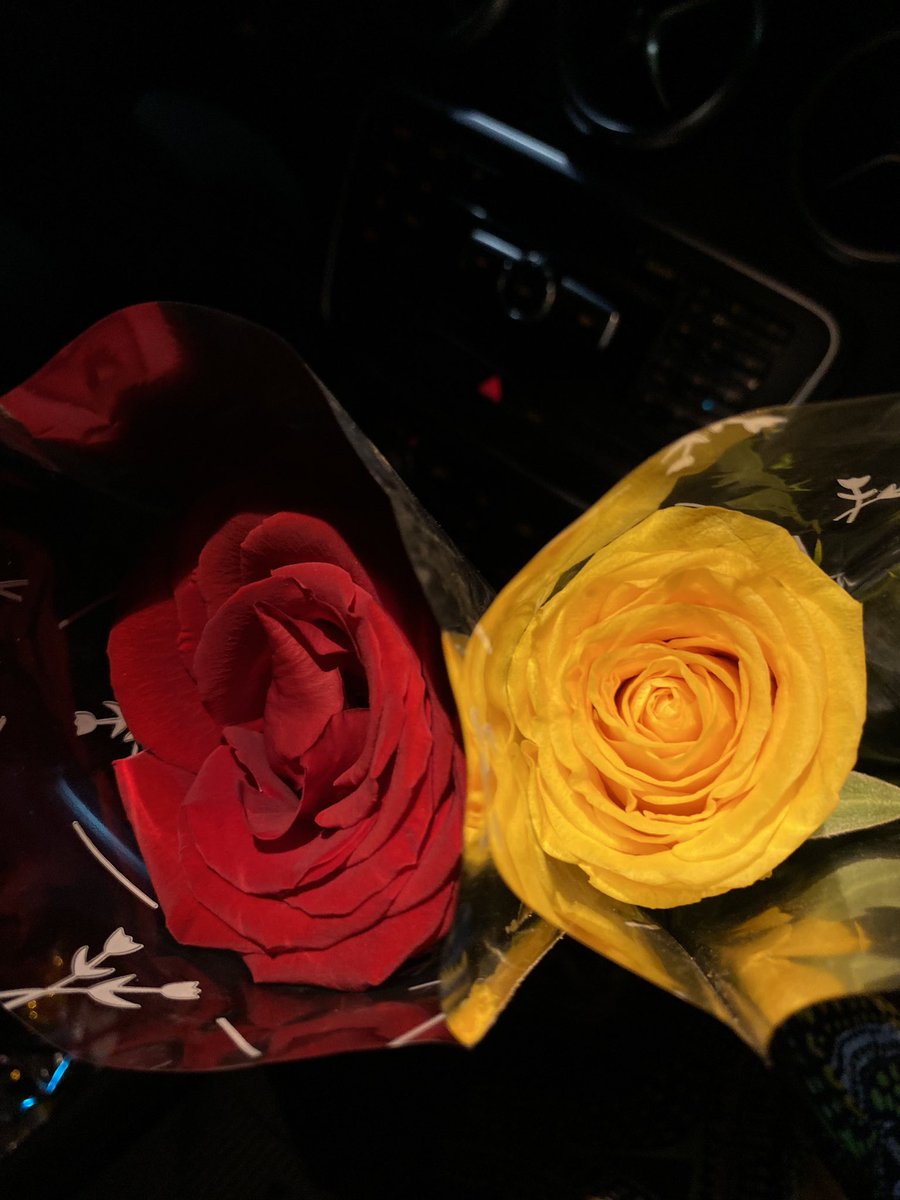 Que te regalen flores >>>>>🌹❤️‍🔥❤️‍🔥❤️‍🔥