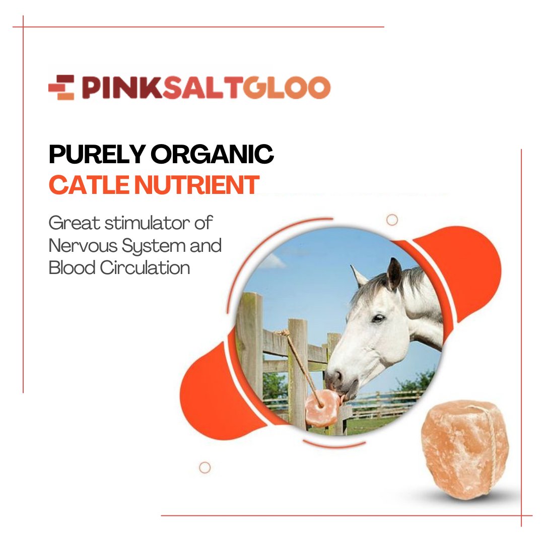 pinksaltglue's tweet photo. Transform your animals' behavior with Himalayan Salt! Try it now and get impressive results! https://t.co/5dPhPerCnN