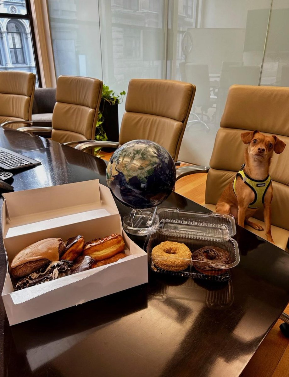 In a #DonutThusday daze! @kanesdonuts

#winthropwealth #withyouforlife #wealthmanagement #financialplanning #invetmentmanagement #donuts #officedogs #dogs #officeculture #companyculture #kanesdonuts #boston #dazedandconfused #dogsofig #igdaily #lpl