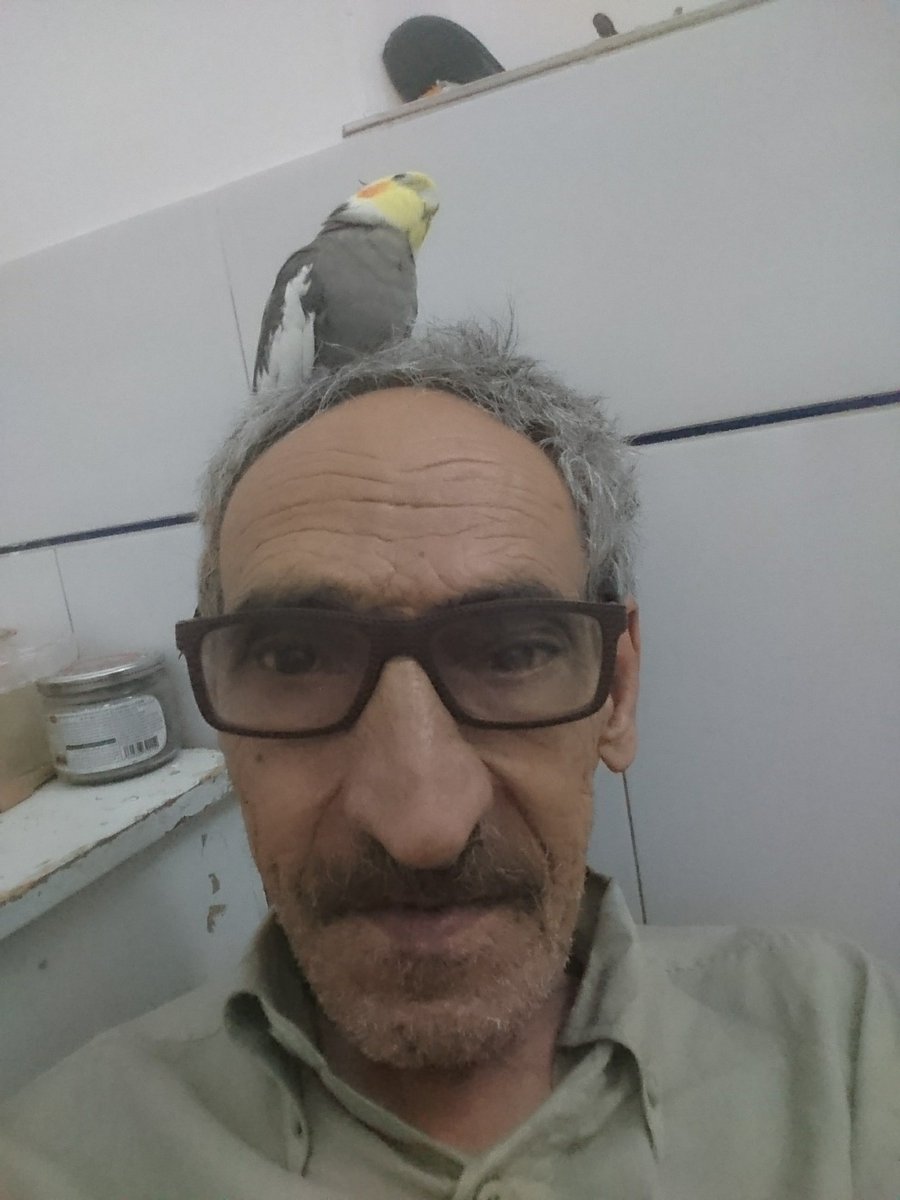 gholianh's tweet photo. ازقفس ولش کردم بگرده امده روی سرم نشسته وداره چرت میزنه https://t.co/56lbaJZIUU