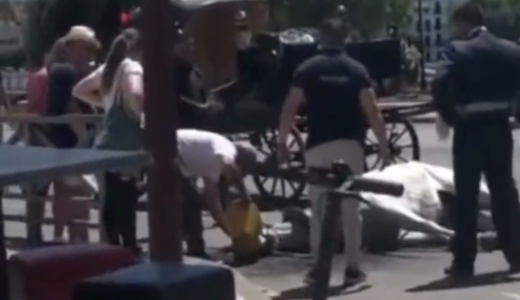 Paarden voor toeristen bezwijken in hitte van Sevilla, mannen gaan door met mishandelen bit.ly/41LBruv