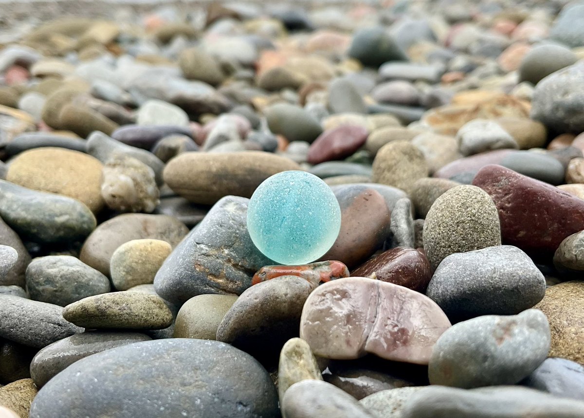 CapebretonGlass's tweet photo. ~ Absolutely Bluetiful! 💙
#beachcombing #capebreton #seaglass #mermaidstears #Beachcombing #beautiful #mudlarking #visitnovascotia #visitcapebreton #beachglass #seamarble https://t.co/d3lpNKcPl7