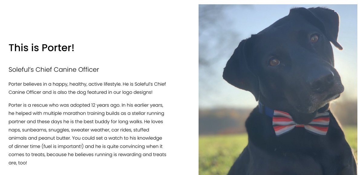 soleful_running's tweet image. As Soleful's Chief Canine Officer, Porter was wondering why he wasn't on our website - so we added him! Link in bio! 

#solefulscenes #dogs #running #runningwithdogs #walkingwithdogs #dogwalk #coaching #run #runningcoach #halfmarathon #marathon #5K #10K #runningmiles #rescuedog