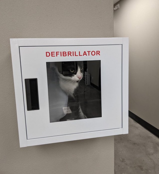 place where car shouldnt be (@carshouldnt) on Twitter photo 