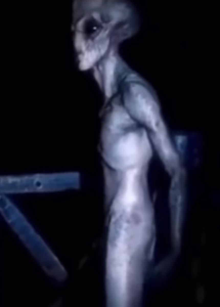 B.A. Crisp tweet media