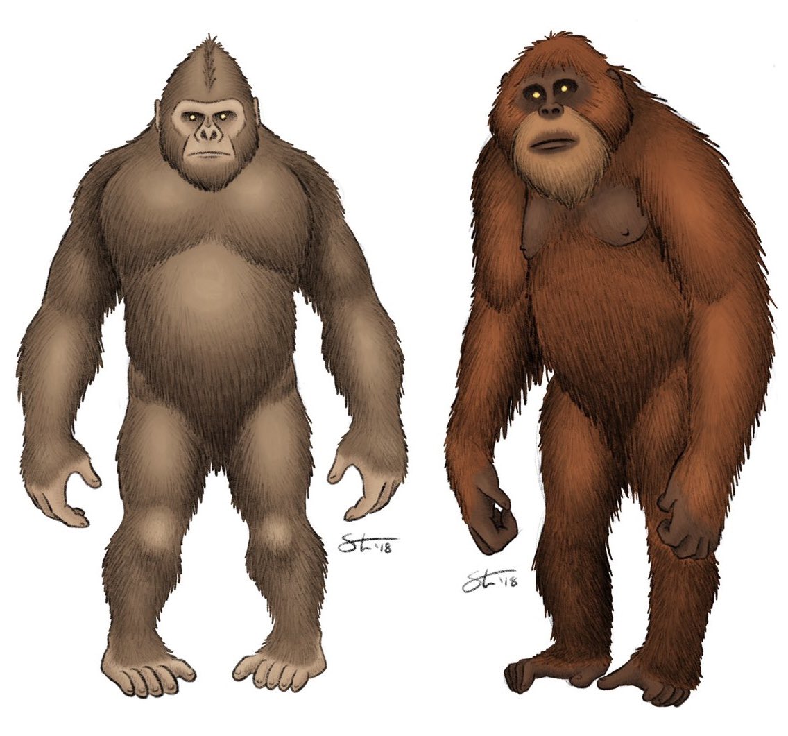CryptoLoren's tweet photo. #JustinMark’s Bigfoot art reminds me of @tylerstoneart’s. Especially as it seems as if their non-AI approaches are similar.
@CryptoLoren @CliffBarackman @TetZoo @TylerGreenfieId @LordGeekington @BestCryptids https://t.co/CYQxtNPjoD