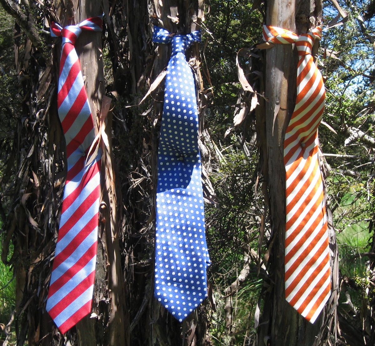 The final days of those manuka ties in New Zealand talkingbeautifulstuff.com/2023/03/27/man…