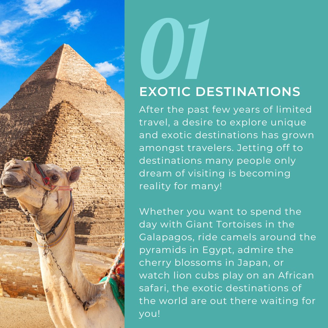 foxworldtravel's tweet image. Wanting to travel somewhere 𝕟𝕖𝕨 &amp;amp; 𝕖𝕩𝕔𝕚𝕥𝕚𝕟𝕘 but not sure where? 🌎 

Take a look at a few 𝐭𝐫𝐚𝐯𝐞𝐥 𝐝𝐞𝐬𝐭𝐢𝐧𝐚𝐭𝐢𝐨𝐧𝐬 that are 𝙩𝙧𝙚𝙣𝙙𝙞𝙣𝙜 in 2023! ⛩️✈️🦁

Which destination are you adding to your 𝕓𝕦𝕔𝕜𝕖𝕥 𝕝𝕚𝕤𝕥?📍✨

#FoxWorldTravel #TravelTrends