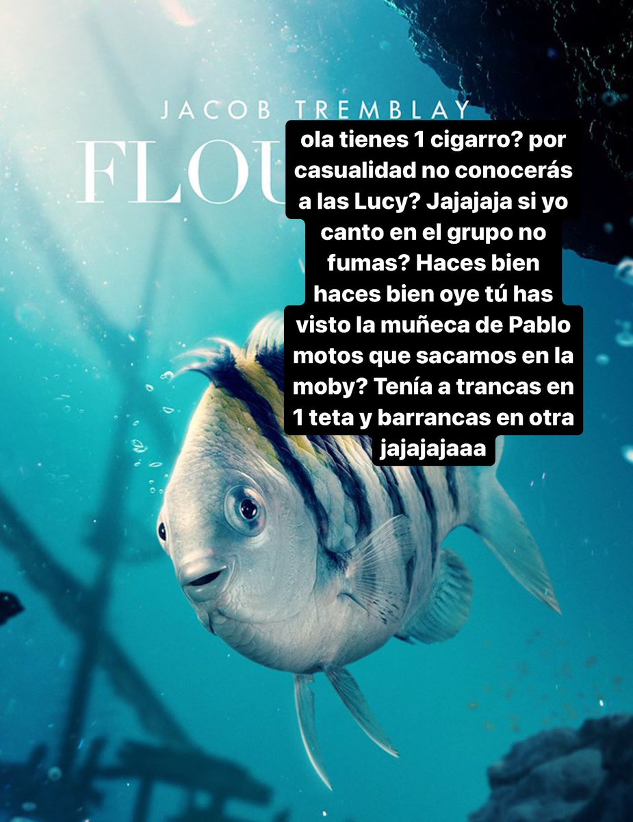 LUCY__OFFI's tweet image. 