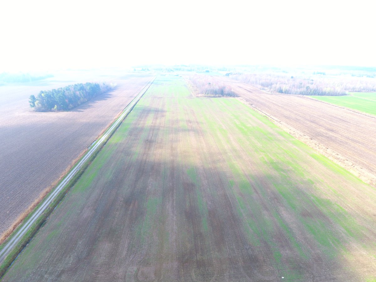 Djyaiphe's tweet photo. Looks like 150 ac more to seed (reseed) this spring #winterwheat #agriculture #dronescouting https://t.co/CY9uLq5yIH