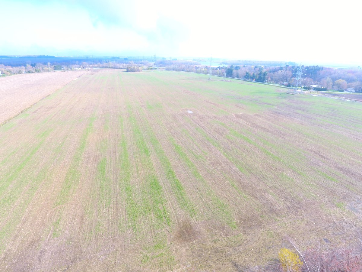Djyaiphe's tweet photo. Looks like 150 ac more to seed (reseed) this spring #winterwheat #agriculture #dronescouting https://t.co/CY9uLq5yIH