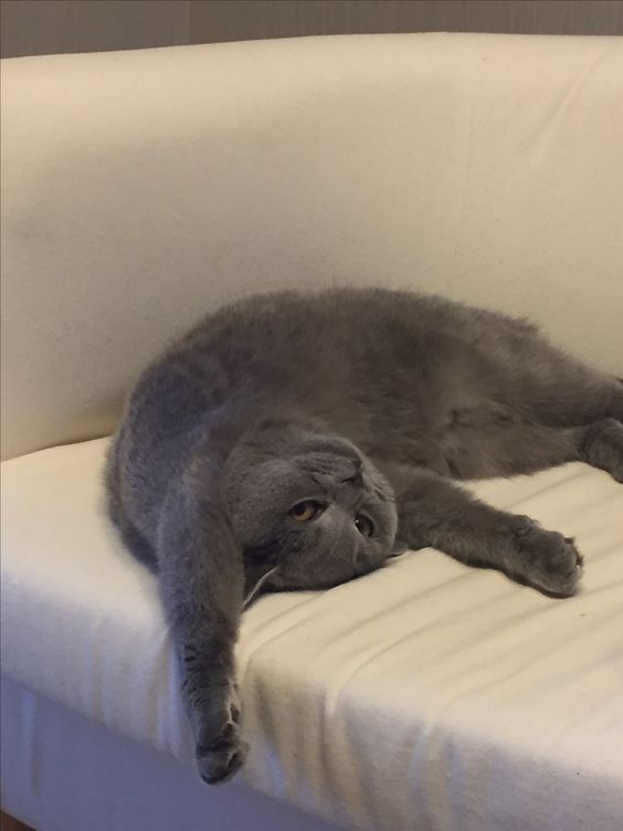 w_WankToo's tweet photo. ดูนอนสิ https://t.co/jmRHrjKq9P