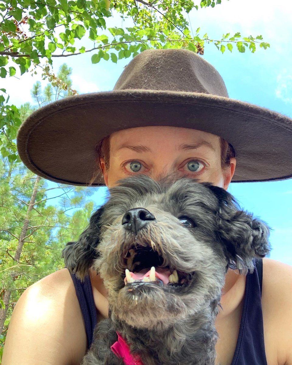 Comfort Creatures tweet media