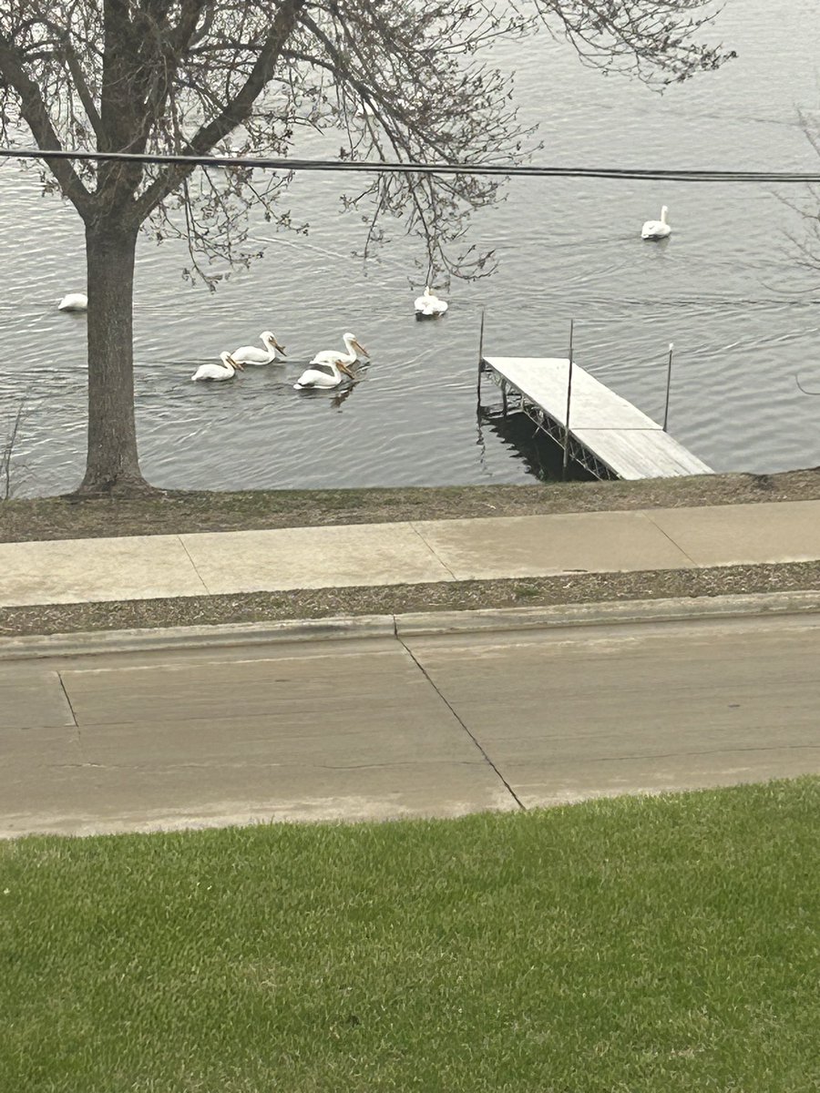 mrs_stirling's tweet photo. A beautiful sight out our window this morning! @nicksofio #LakeviewElementary https://t.co/3le9p3oL6X