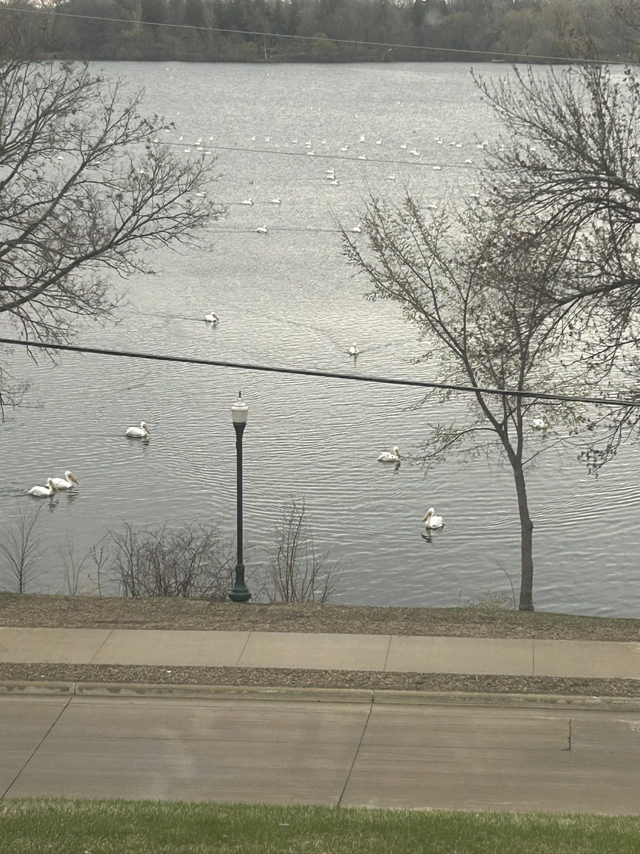 mrs_stirling's tweet photo. A beautiful sight out our window this morning! @nicksofio #LakeviewElementary https://t.co/3le9p3oL6X