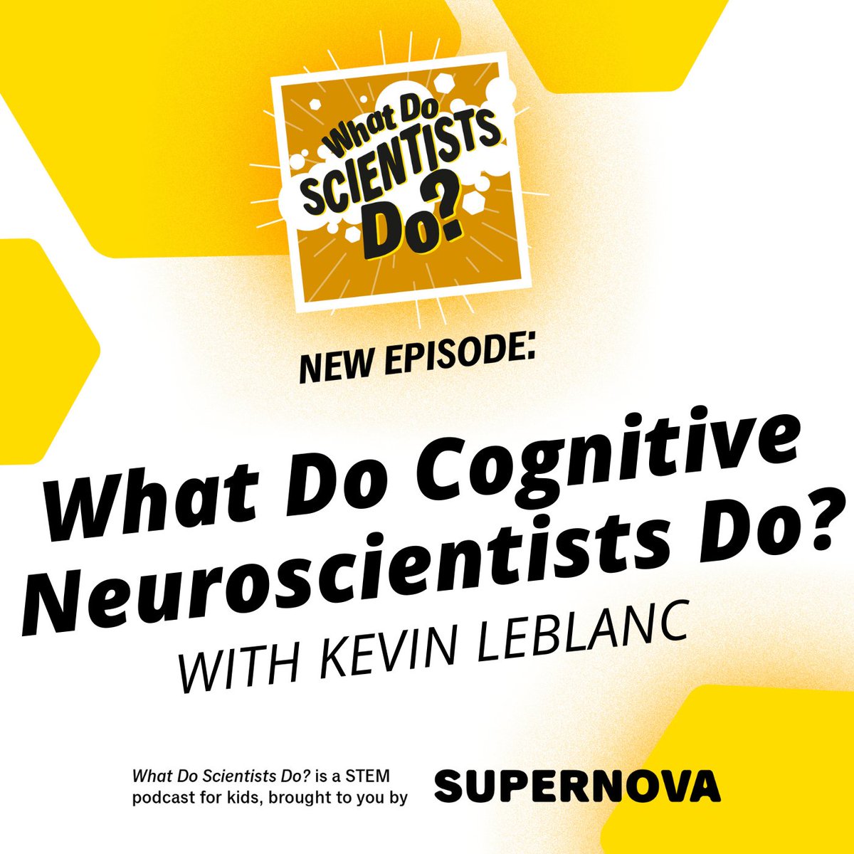 What Do Scientists Do? Podcast tweet media