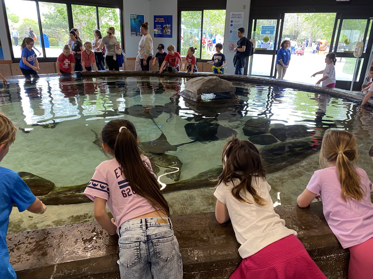 Logan Gregory tweet media