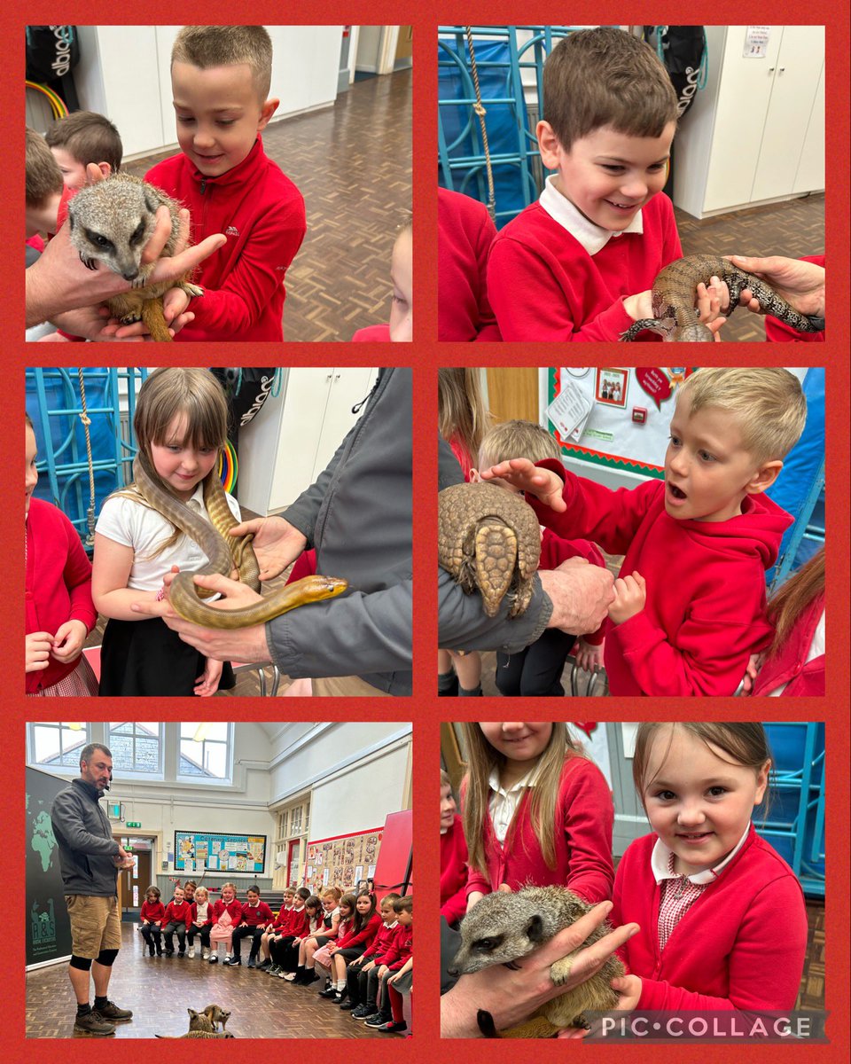 @TrallwngInf tweet media