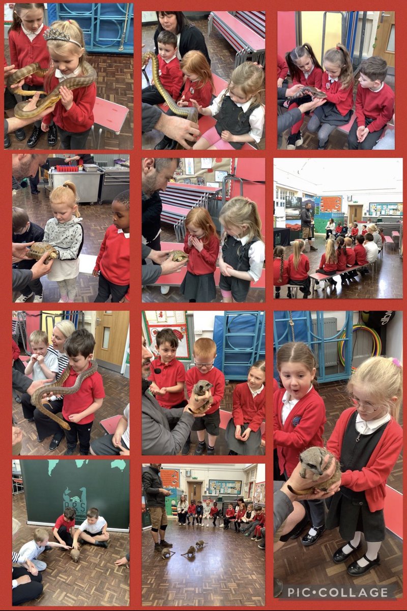 @TrallwngInf tweet media