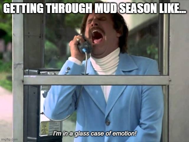 NYSDEC's tweet image. It's #mudseason! Enjoy the weekend responsibly by sticking to low-elevation hikes or alternate activities until higher elevations dry out and conditions improve. Doing this protects sensitive vegetation, helps new wildlife habitats thrive, and keeps thin soils from washing out.
