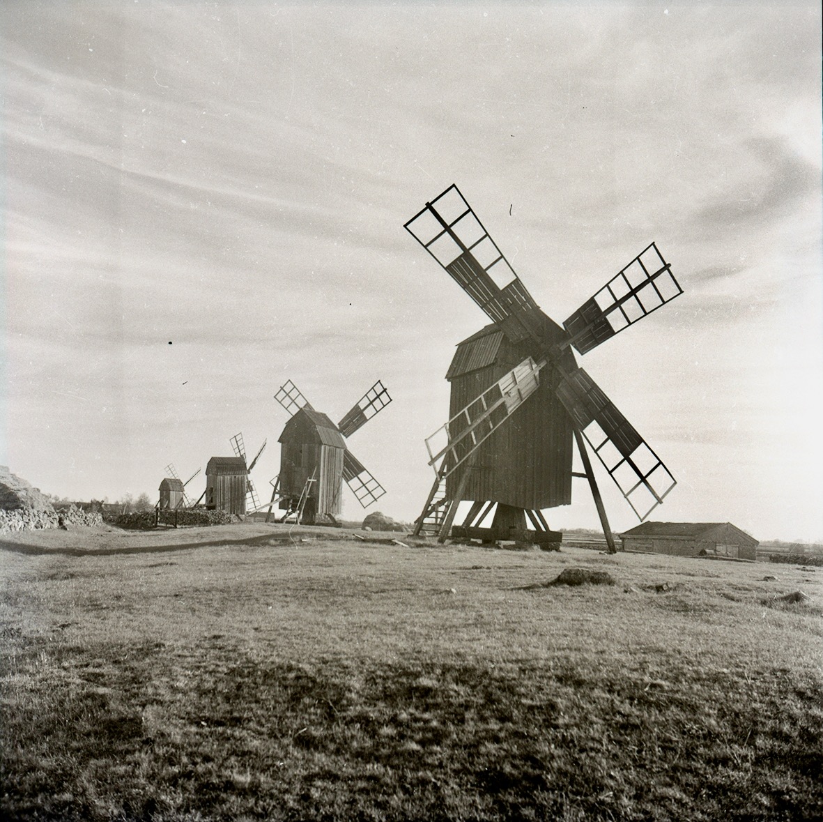 På Öland hade vindkraften sin storhetstid för 200 år sedan. Vackra är de också, kvarnarna.
